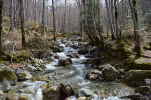 Cascade des Anglais - GR 20