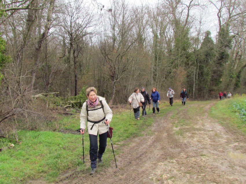 Le 21-02-16-Villiers sur Morin