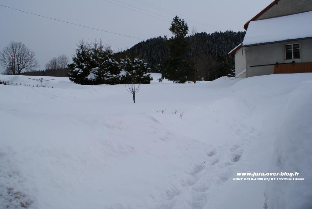 Les photos ce cet hiver 2009, prisent avec un SONY DSLR-A300 Objectif DT 18-70mm F35-56. ballade à travers le Haut Jura avec l'or blanc tant attendu ! Cette année 2009 reste exeptionelle !