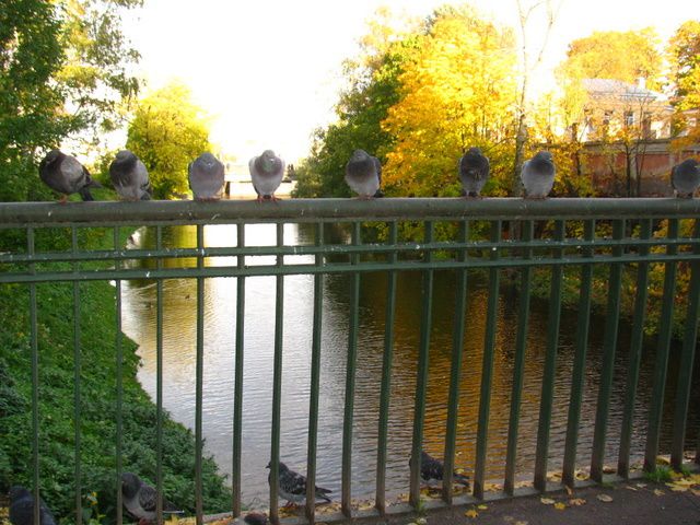 le transsibérien, Berlin et un peu de vélo en france