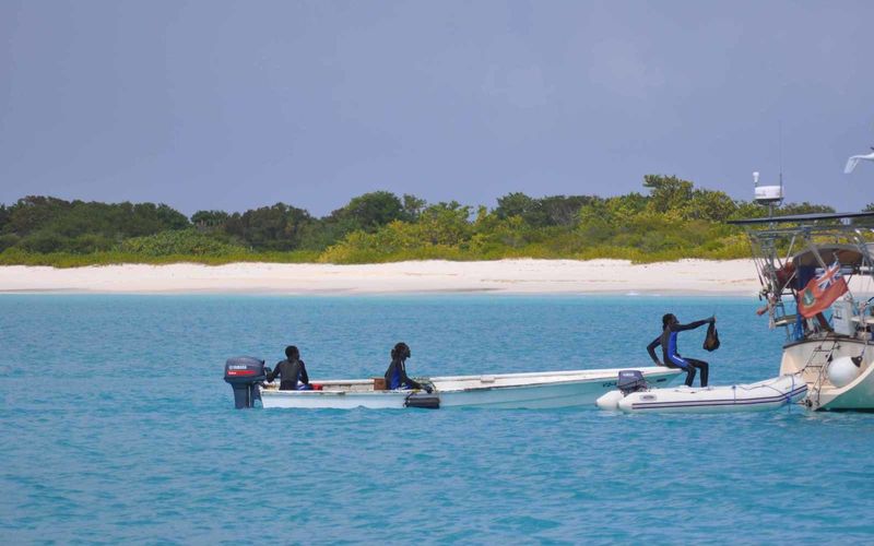 Barbuda l'île préservée : Cocoa Point 