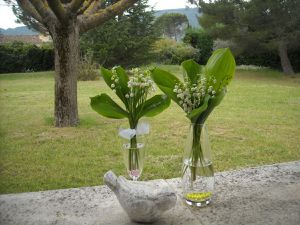 Muguet du Luberon pour vous !