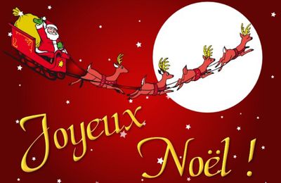 Noël et foie gras....