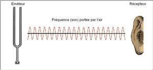 Les quatre caractéristiques du son