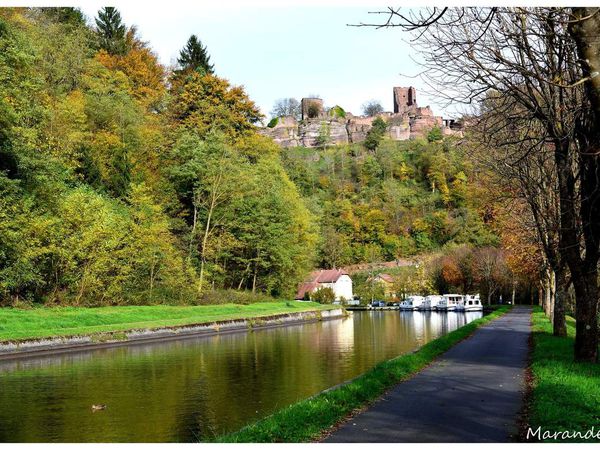 Le canal à Lutzelbourg !