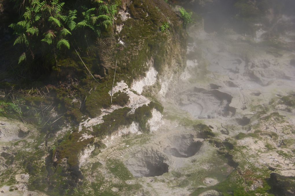 Album - Parc-Geothermal-Rotorua