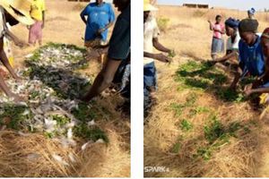 Atelier fosse à compost