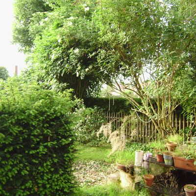 Musics Words Moves & Lives between Us