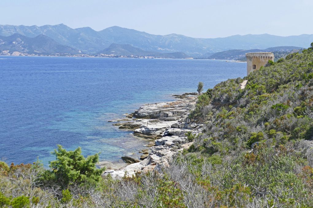 Le sentier du littoral de St Florent à la plage du Lotu