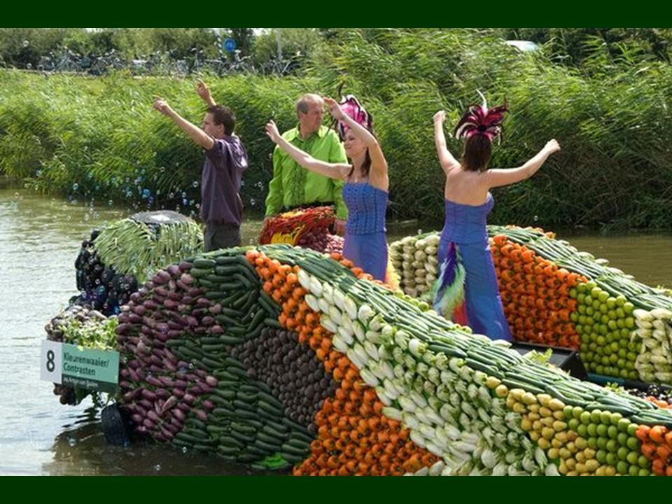 Hollande - seconde partie des marchés flottant