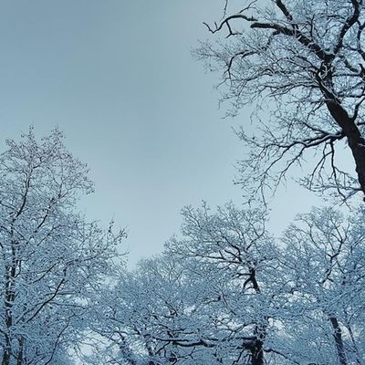 MOBILISONS NOS ACTIONS À L'UNISSON CAR LE JEU EST TRUQUÉ