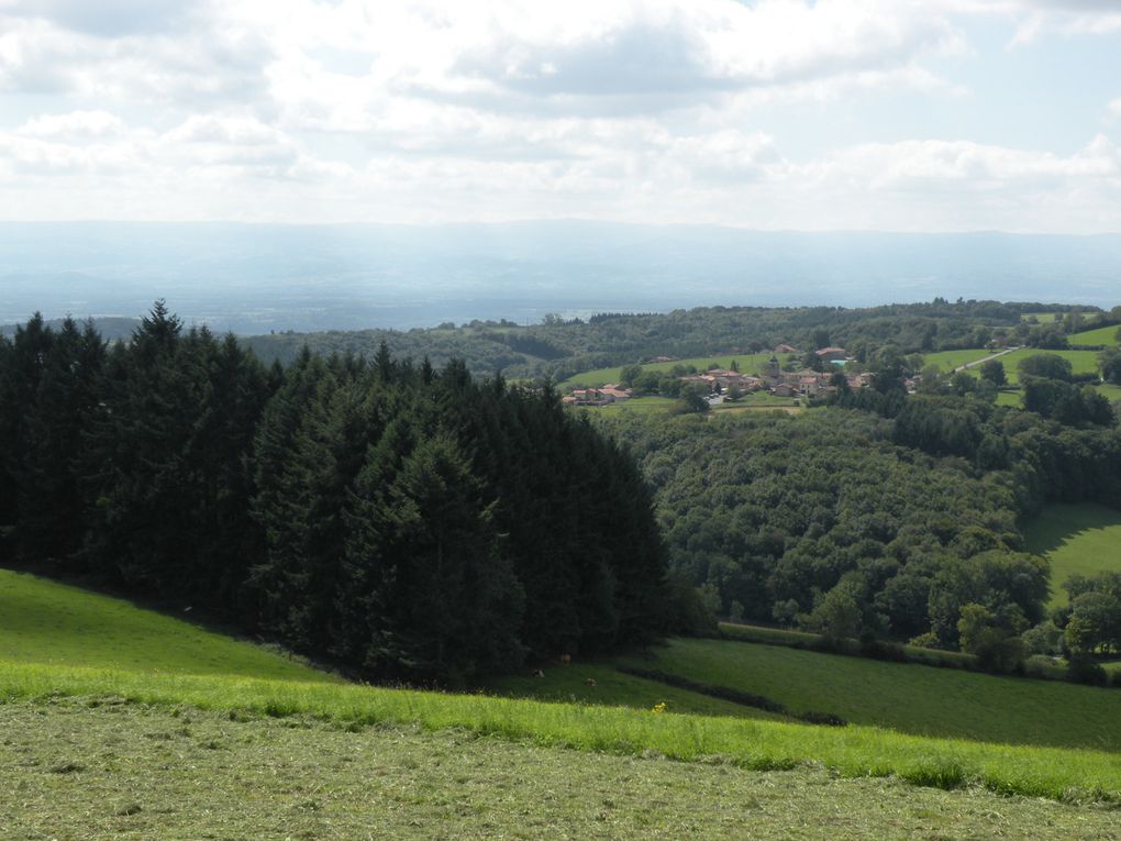 marche au bois des Beysses