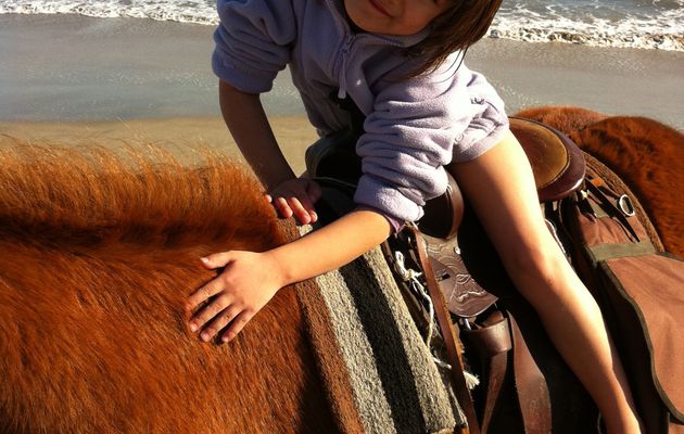 A cheval sur la plage...