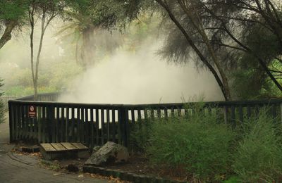 ROTORUA ET TAUPO