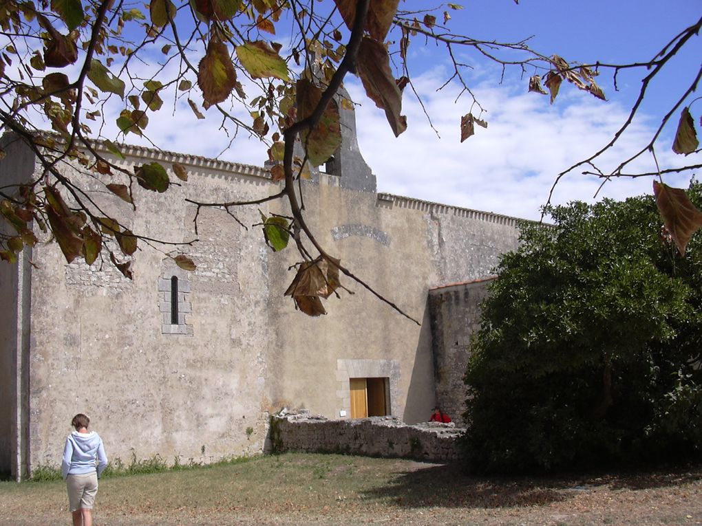 ILE D'OLERON 
ST TROJAN LA BALNEAIRE, LA BAIE DE GATSEAU, LE GRAND VILLAGE PLAGE ET SON PORT DES SALINES, ST PIERRE AVEC SES RUELLES PIETONNES ET SON PORT DE PECHE DE LA COTINIERE, LE PERTHUIS MAUMUSSON, LE PETIT TRAIN DE ST TROJAN, LE FORT BOYARD E