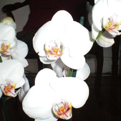 Il faut trouver la clef