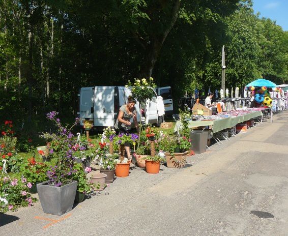 31 mai 2009, 27ème édition de la Foire des coucous. 
