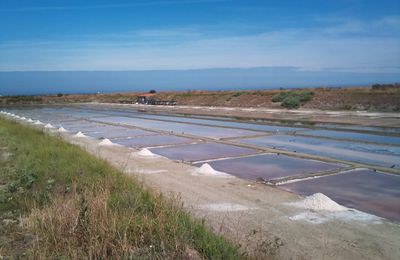 Marais salants