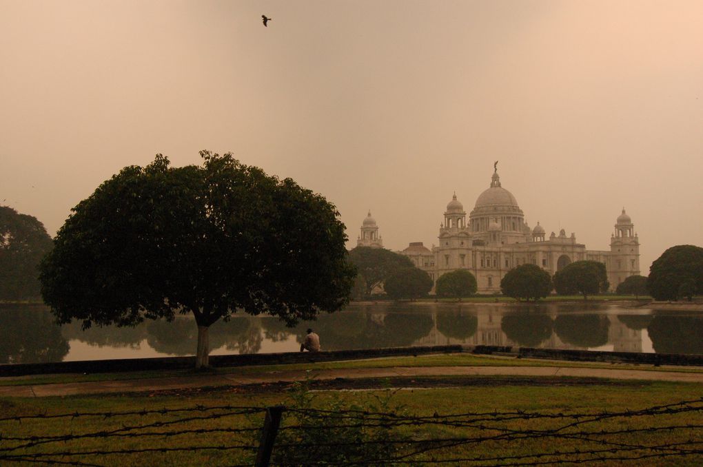 Calcutta : la Durga Puja, le Marché aux Fleurs, ses temples et le Victoria's Palace