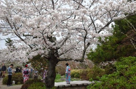 Kyoto jours 1 à 4