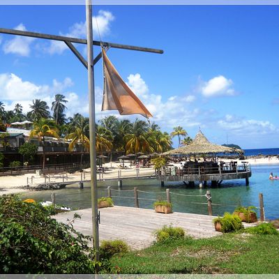 ...Martinique ...plage de la pointe du bout ...Les Trois îlets...