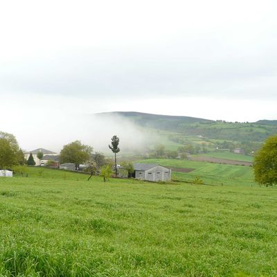 j25 chemin de Compostelle" Tricastella à Ferrerios_32km"