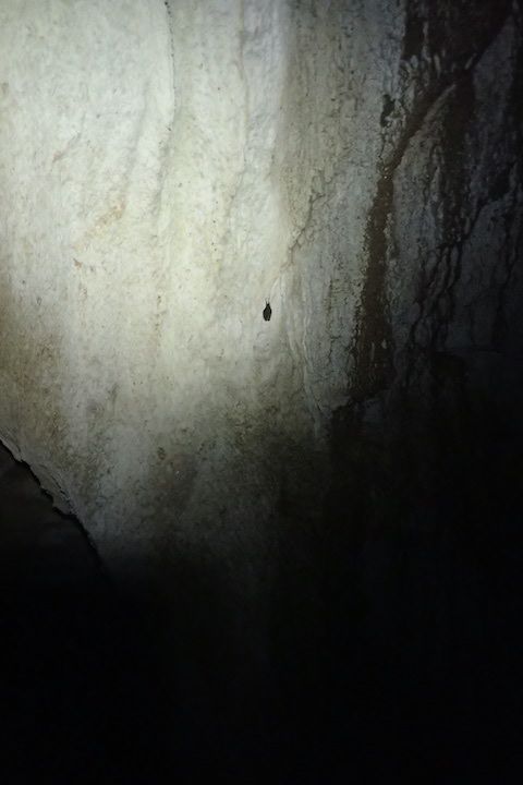 Charles équipe, on papote sur la vire, menhir, rhinolophe