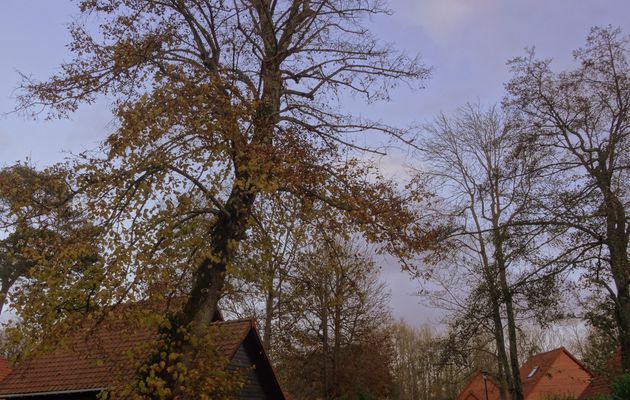 UN PETIT VILLAGE DANS LA PLUIE ET DANS LE VENT. 