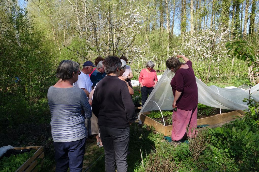 Dimanche 17 avril 2022,  « La Chalouette en herbes »