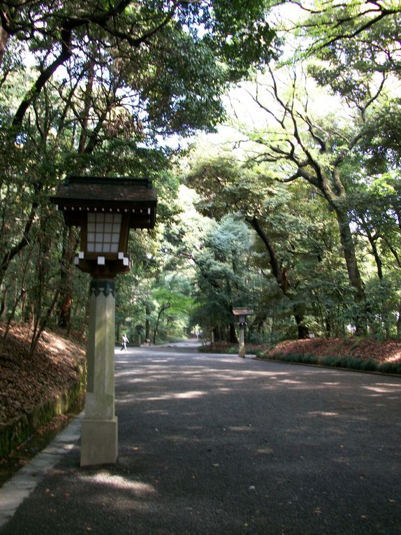 Cette compétition internationale de Kyudo (tir à l'arc japonais) avait lieu dans le dojo du jardin Yoyogi, où se trouve l'un des plus beaux temples shinto de Tokyo, le Meiji Jingu, qui est en photo au début de l'album.