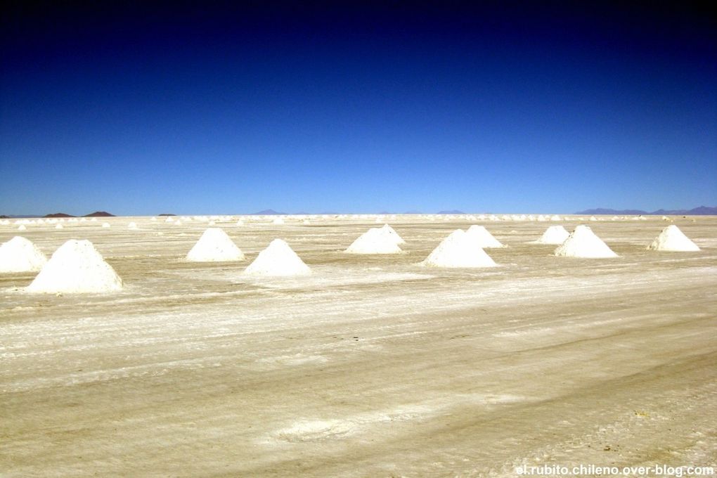 Levé de soleil depuis la Isla de Incahuasi. Traversé d'une des merveilles naturelles du monde. Le plus grand désert de sel du monde. Du blanc à perte de vue et un ciel bleu extraordinaire.