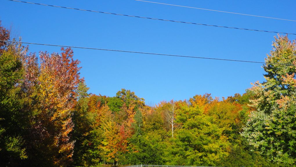 L'automne québécois