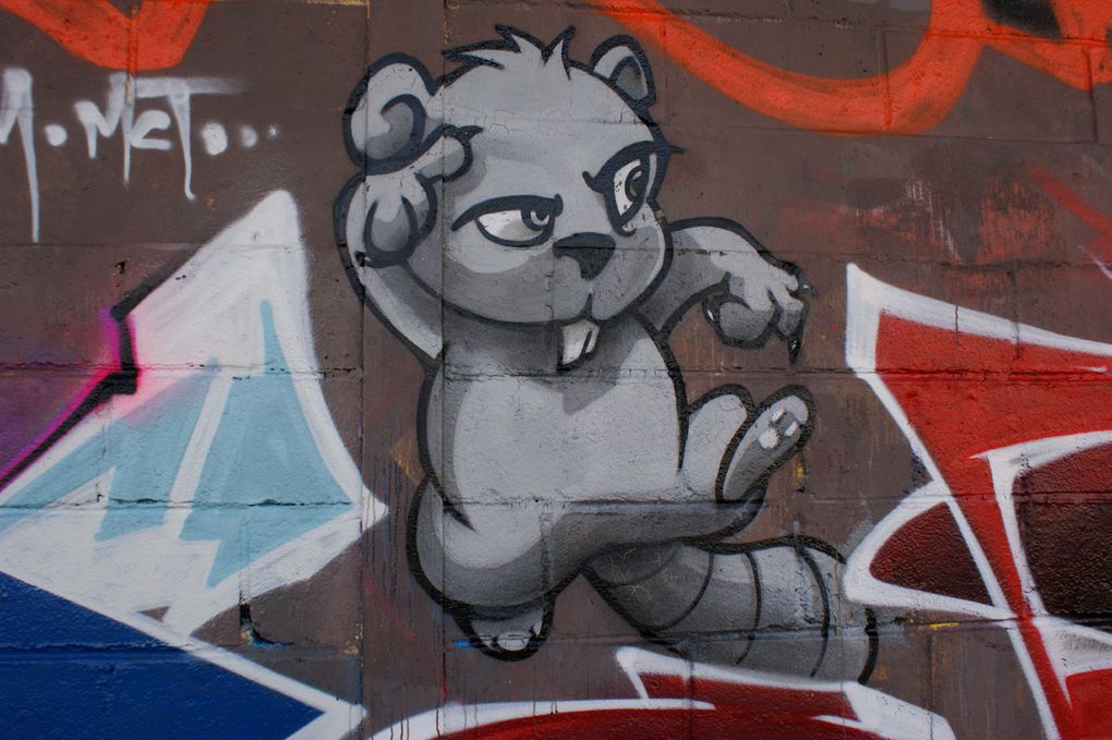 Album - Graffitis-Vitry-sur-Seine-tom-005