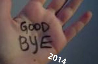 Bye bye 2014