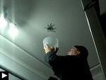 3 Videos: Une énorme araignée au plafond + le pare-brise brisé + la plaque d'égout