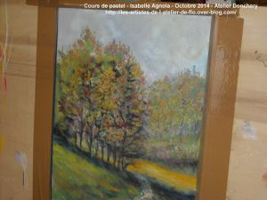 Voici quelques photos du Cours de pastel avec Isabelle Agnola (tous les mercredis de 14H à 16h à l'atelier peinture de Donchery).