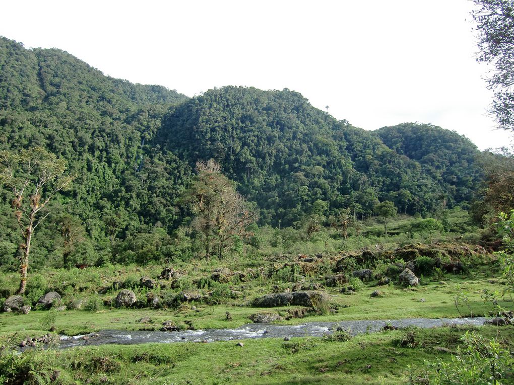 Album - Los Nevados - Popayan - San Agustin