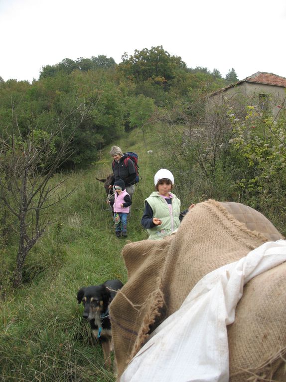 impasti la pasta dai palchi ai prati, cucine e piazze...