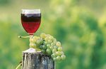 Comment le vin est-il fabriqué ?