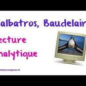 L'albatros, Baudelaire : commentaire