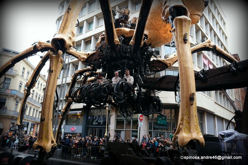 Toulouse : un opéra urbain en quatre actes...Le Gardien du Temple