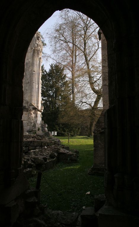 Album - Abbaye de Jumieges