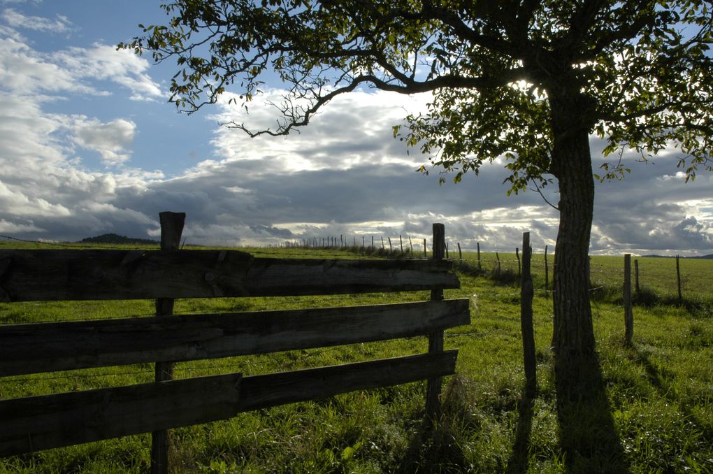 paysages auvergne chaine des puy