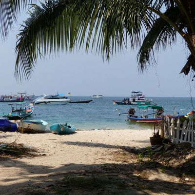 Koh Tao