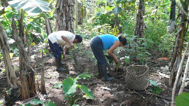 villages d artisants et sejour dans une famille indigene shuar