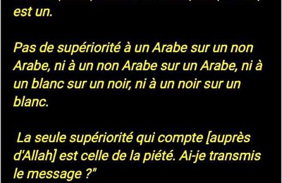 Le racisme et la moquerie des origines sont une moquerie envers Allah - Sheikh Al Albani rahimahoullah 