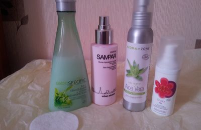 Ma routine visage du soir