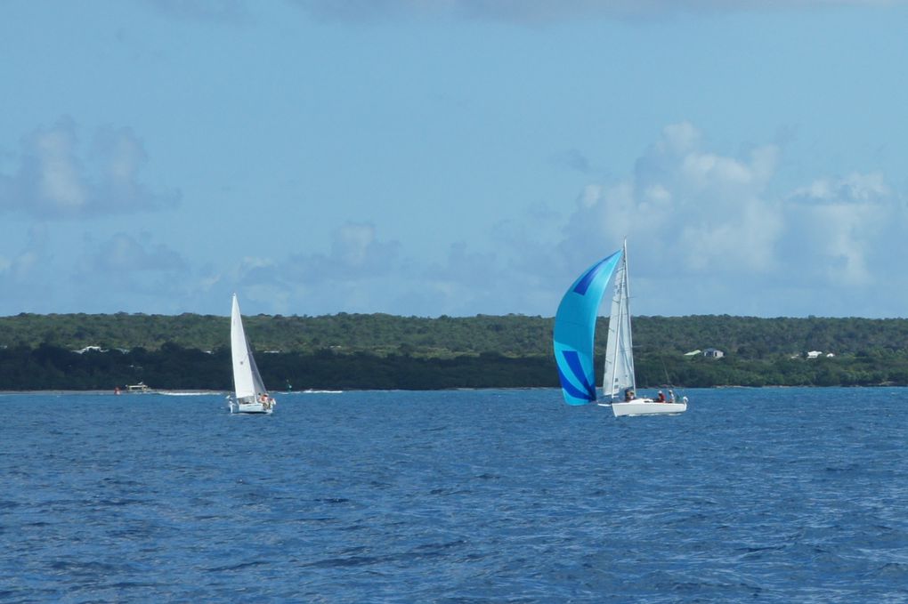 Album - Trophee-Open-Voile-de-St-Francois-2011-2