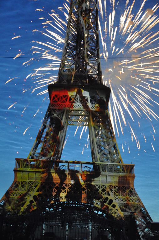 Concert de Johnny Halliday, puis feu d'artifice à la Tour Eiffel.