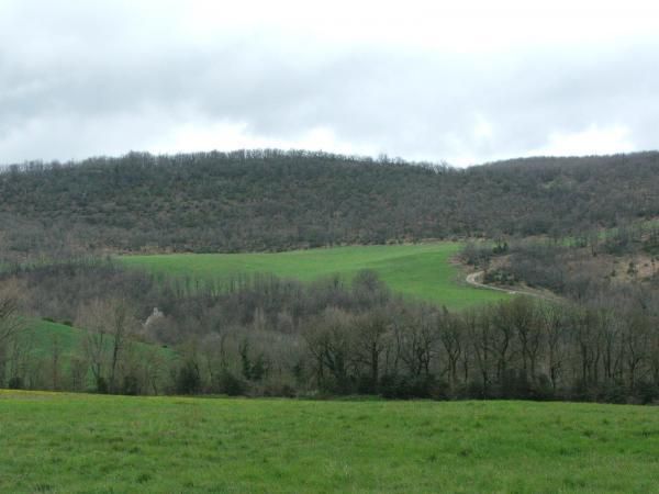 <em><strong>PHOTOS DE COURTILLES, GISSAC ET ENVIRONS DE ST AFFRIQUE</strong></em>